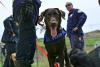 Four-legged rescuers lead way after Venezuela quakes