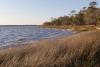North Carolina's Cape Fear gets no PFAS fix in EPA's $450 million Chemours deal