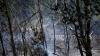 Forest fires threaten Tour de France stage, ravage southern Europe