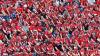 'I saw Norway World Cup fans in person and they can carry team to win vs Brazil'