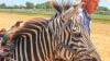 See photos of exotic animal races in Delaware 
