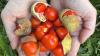 Tamarind: The cross-cultural ingredient having a moment – and the Australian native namesake you need to meet