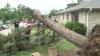 'I thank them': Lake Geneva non-profit helps residents clean up after major storm damage
