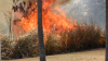 Chief Fire Officer: Human activity fuelling surge in bushfires across Barbados