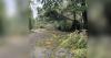 Maryland storms knock down trees, leave residents in the dark