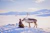 Northern lights: A Nordic flick feast awaits