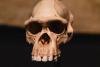 Every known Homo naledi skeleton in South Africa may be female, surprising scientists