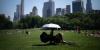 Unbearable heat suspected in 19 New Jersey deaths