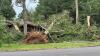Storm damage leaves Bristol homes hit by trees, thousands without power across Connecticut