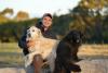 Opinion: Has the pet food industry become too reliant on chicken?