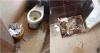 This is the state of the bathrooms at the Juan Bruno Zayas hospital in Santiago de Cuba