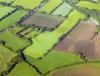 Ancient farming boosted plant diversity, but modern agriculture reversed it