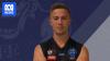 Concerns about cricket pitches on ovals after Melbourne football tragedy