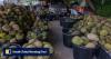 Malaysia’s Anwar to lean on ‘good friend’ Li Qiang to rescue durian farmers as prices fall