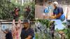 New survey exposes Sāmoa's labour gap as businesses lose skilled workers, youth miss out