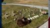 Former corrections officer sentenced in major Oregon poaching case spanning multiple counties