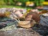 Rain and thunderstorms to continue as forecasters say when warmer weather will return to Latvia