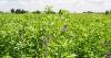 Nebraska passes legislation protecting farmer data