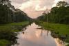 Illegal timber from Cambodia and Laos bypasses Vietnam safeguards: report