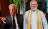 India Slams Pakistan Defence Minister Over Remarks on PM Modi's Seychelles Honour