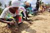 How Africa can restore its forests, which are disappearing at an alarming rate
