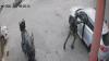 Moment Israeli soldier hurls stun grenade into Palestinians’ car