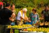 Living Heritage: Using Traditional Knowledge to Reach Sustainability Targets