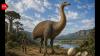 Elephant bird: Madagascar's giant flightless bird that laid the largest eggs in Earth's history