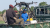 Civil society groups urge immediate ceasefire after Akobo Commissioner killed