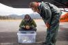 Alaska SeaLife Center Admits Two Harbor Seal Pups from Cordova, Alaska With Help of Local Volunteer Pilot