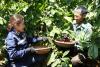 Regenerative agriculture helps Vietnamese coffee tackle green barriers