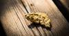 Lapland gold-diggers find biggest nugget in years