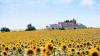Visiting Spain? Relax in the scenic countryside