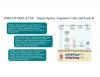 Immuron Advances IMM-529 (Clostridioides difficile infection) Partnering Strategy