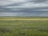 Farmers hoping sunny conditions here to stay and dry out fields