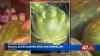 Atlanta Harvest owner says racial slur carved into watermelon won’t stop community mission