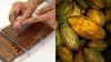 World Chocolate Day 2026: How India’s bean-to-bar chocolate makers are taking on Swiss and Belgian giants