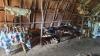 A Tribe of Three: Brothers and Neighbor Share Their Love of History and “Primitive Technology”