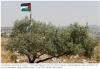 Palestinians Will Not Leave Their Land