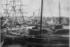 A whale hunt that turned into a saga of survival