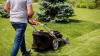 Irish gardeners urged not to make lawnmower mistake this week