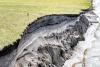 Award-winning photographs highlight the forensic hunt for wildlife criminals
