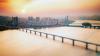 Asia report: Seoul leads losses on mixed day for region