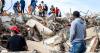 DEC Venezuela Earthquake Appeal: how people in Scotland can help