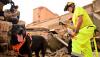 International dog squad helps save lives after Venezuela earthquakes
