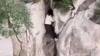 Tourist plunges 180ft down cliff but miraculously SURVIVES after getting wedged in crevice and screaming for help