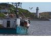 Opinion: Commercial fishing industry treated as collateral damage in Nova Scotia