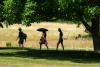 Heat health alerts upgraded to amber as UK braced for fourth heatwave