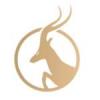Antelope Enterprise Reports First Half FY 2026 Financial Results