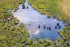 Wildlife and Wealth: Conservation Driving Sustainable Growth Across Africa